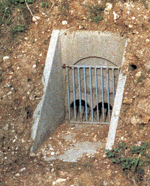 Bouches de décharge