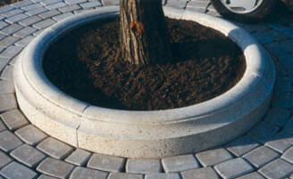 Entourages d’arbres