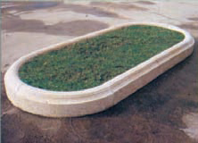 Entourages d’arbres